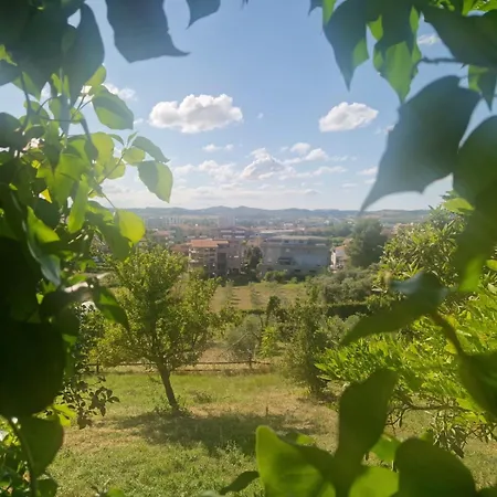 Апарт-отель Il Casolare Сан-Джованни-Театино